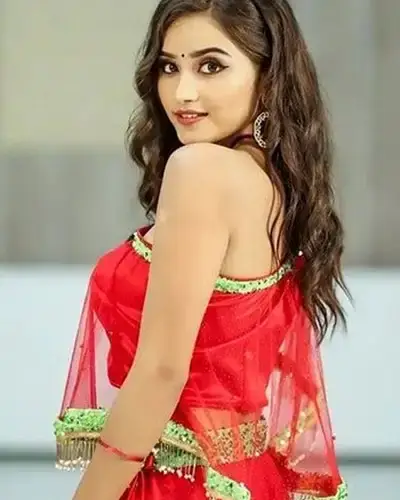 Call Girls Service Bilara